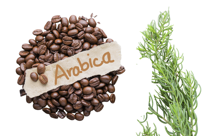 Café Arábica